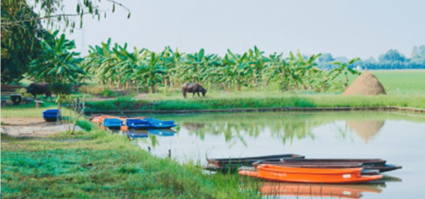 ทำไร่นา 