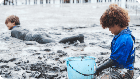 ฟื้นฟูป่าชายเลน