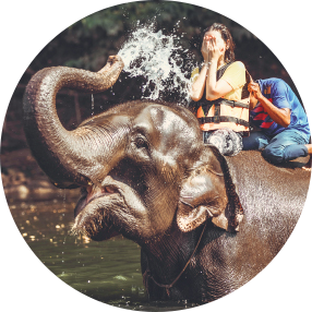 กิจกรรมอาบน้ำช้างสนุกมาก มีพื้นที่ให้ตั้งแคมป์ด้วย