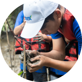 เคยเรียนมาว่าต้นไม้ในป่าชายเลนมีแค่ต้นโกงกาง