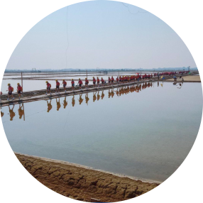 วิถีชีวิตชาวนาเกลือ