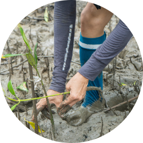 การได้ลงมือปลูกป่าเองทำให้รู้ว่าเป็นสิ่งที่ทำได้ไม่ยาก