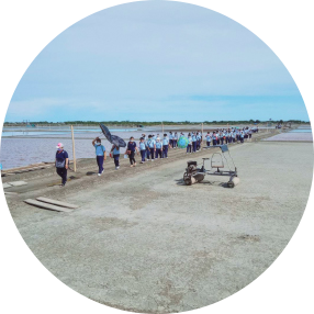 วิถีชีวิตชาวนาเกลือ