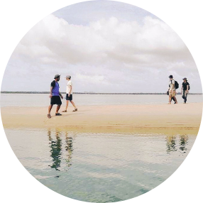 ปลูกหญ้าทะเลสนุก ได้ความรู้เกี่ยวกับท้องทะเลกลับมาเยอะมาก 