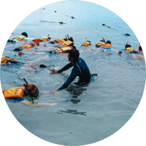 ฟื้นฟูปะการัง