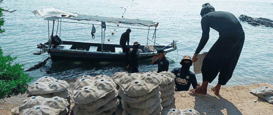 วางปะการังเทียม