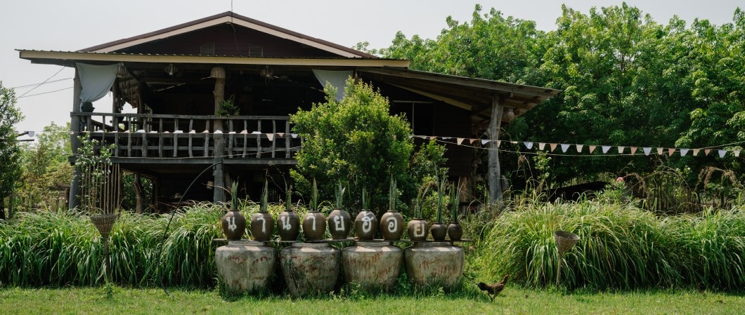 ย้อมผ้าด้วยมูลควาย