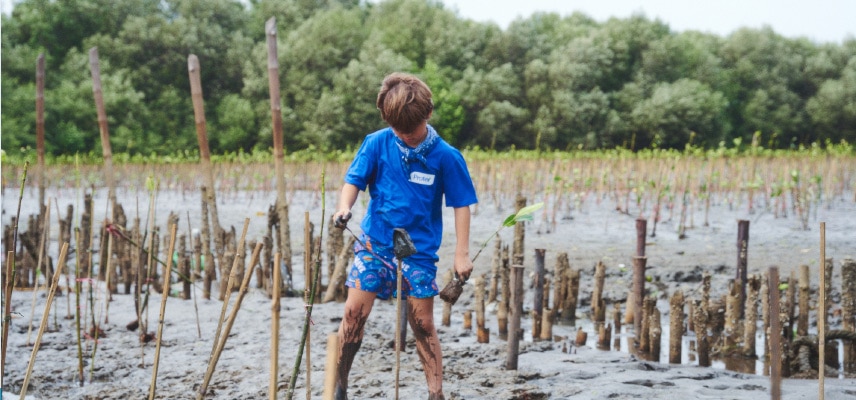 ปลูกป่าชายเลน 