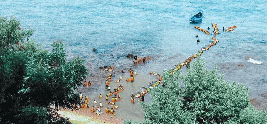 ฟื้นฟูปะการัง ประเทศไทย