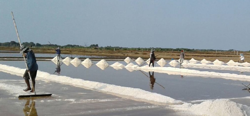 เที่ยวดูนาเกลือ