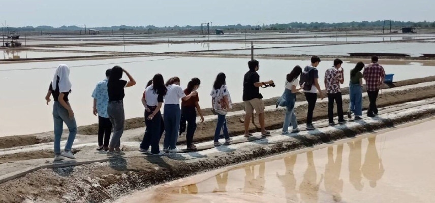 เที่ยวดูนาเกลือ