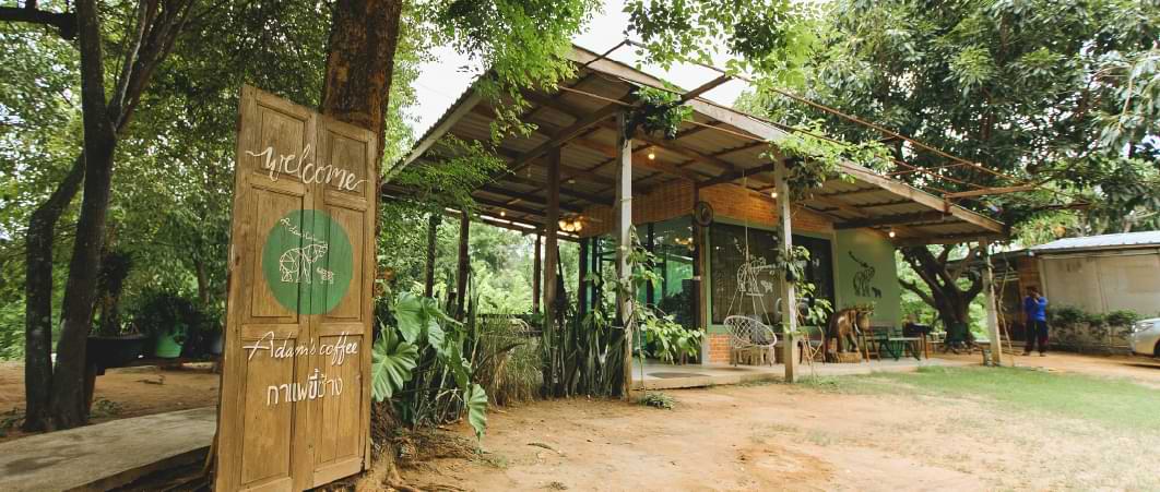 ป้าย "ค่ายไทย" ตั้งอยู่หน้ากำแพงไม้ไผ่ สื่อถึงการตั้งแคมป์ในบรรยากาศที่เป็นธรรมชาติ