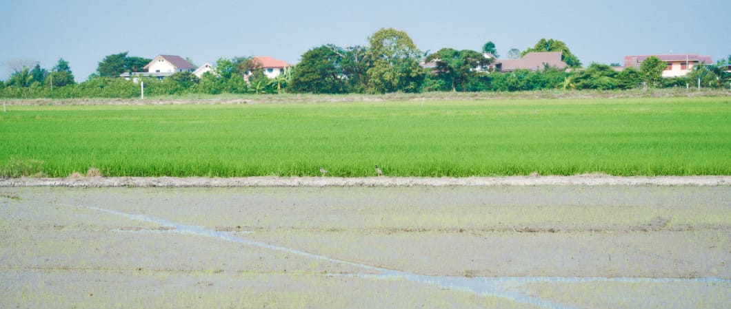 ทำไร่นา