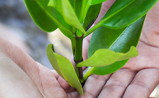 มาเริ่มต้นกล้าเปื้อนเพื่อเปลี่ยนไปด้วยกัน 