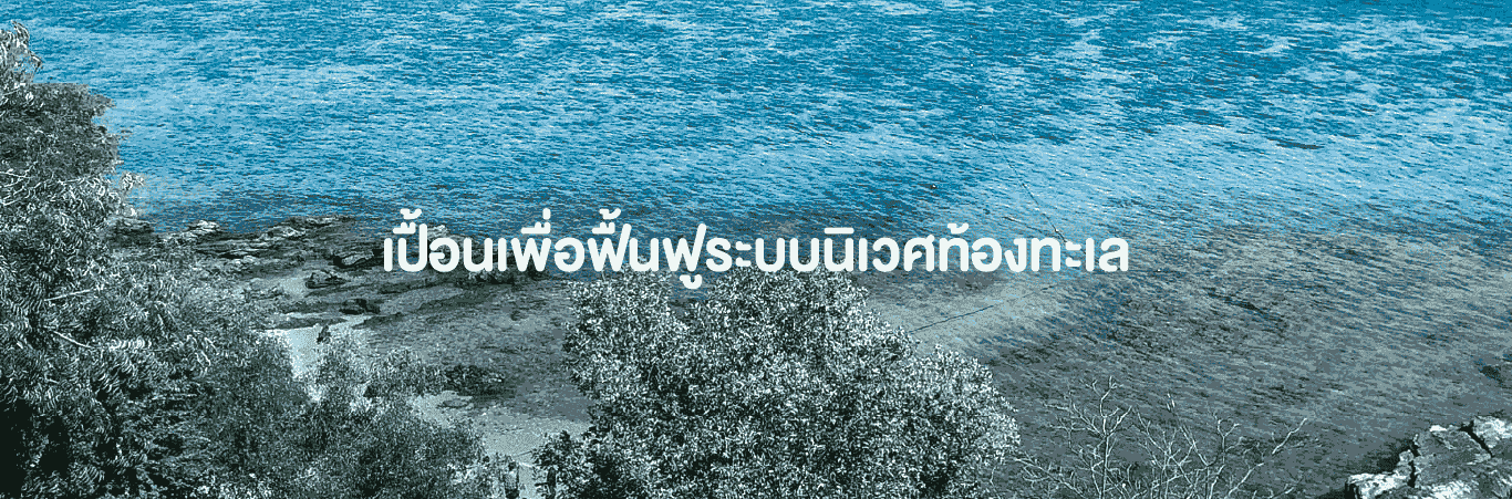 ฟื้นฟูระบบนิเวศท้องทะเล 