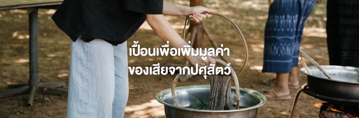 ย้อมผ้าจากสีธรรมชาติ
