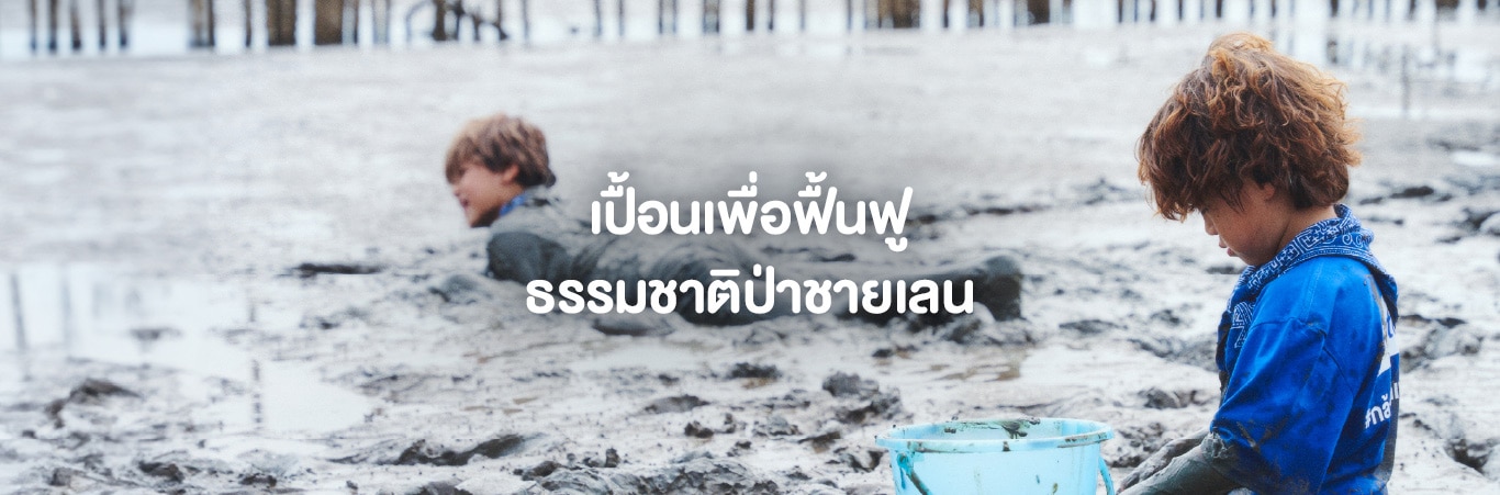 ฟื้นฟูป่าชายเลน