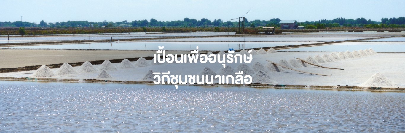 ทำนาเกลือ สมุทรสาคร