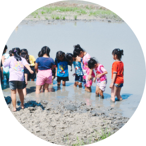 ปลูกข้าว