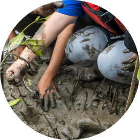 เปื้อนเพื่อทำความรู้จักและเข้าใจกับระบบนิเวศที่ดี