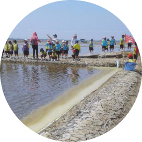 เที่ยวดูนาเกลือ