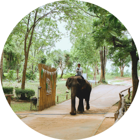 งหลังช้าง ผ่านหมู่บ้านช้างลัดเลาะไปตามลำน้ำ