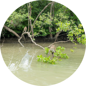 ดูแลทรัพยากรธรรมชาติและสิ่ง