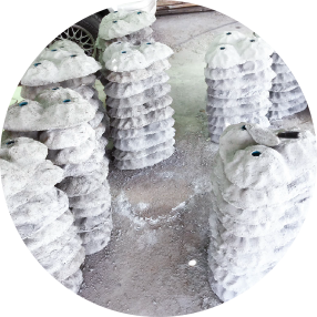 ปะการังเทียม