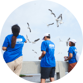 ให้อาหารนกนางนวล