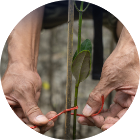 ดูแลทรัพยากรธรรมชาติและสิ่งแวดล้อม