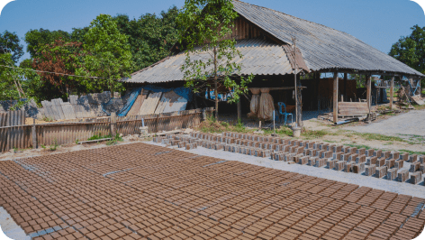 ย้อมผ้าจากสีธรรมชาติ