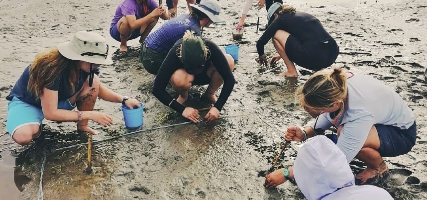 กลุ่มคนกำลังทำงานในโคลน สร้างสรรค์ผลงานด้วยความมุ่งมั่นและความร่วมมืออย่างเต็มที่