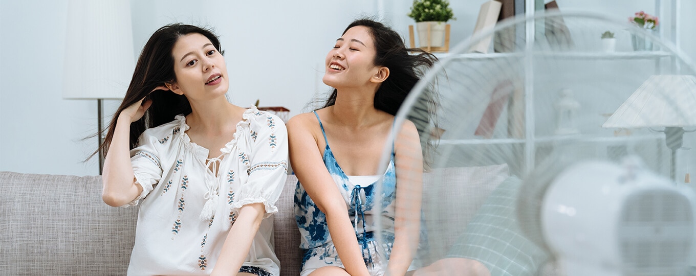 ดับร้อนด้วยพัดลมจ่อตัว