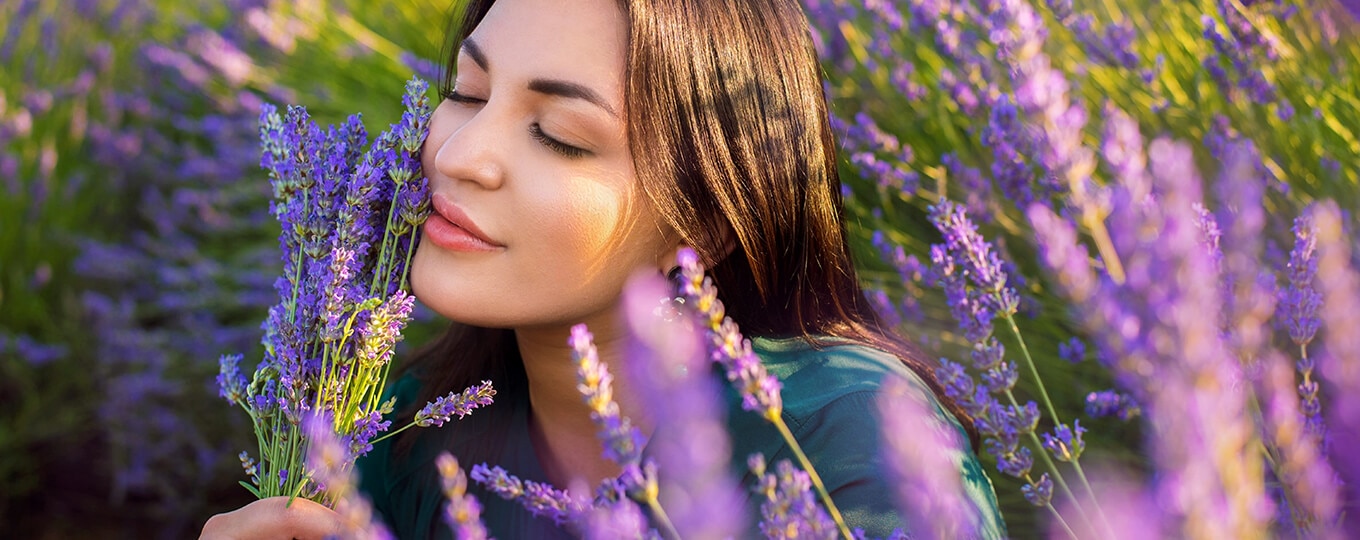 ผู้หญิงดมกลิ่นหอมกลางทุ่งลาเวนเดอร์